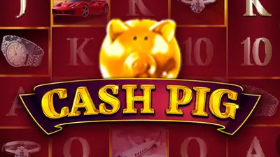 cash pig